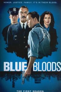 Blue Bloods : Season 1