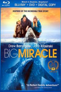 Big Miracle  [795]