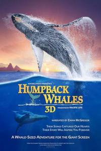 Humpback Whales [15560]